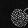 Monochrom Monochrom