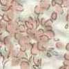 Rosa Blume