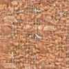 Orange Orange