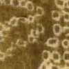 Gelb