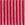 Aprikose