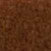 Rost