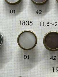 1835 Elegante Und Luxuriöse Knöpfe Für Einfache Hemden Und Jacken[Taste] DAIYA BUTTON(DAIYA BUTTON) Sub-Foto