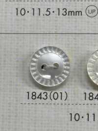 1843 Zweilochknopf Mit Polyesterharzrand[Taste] Sub-Foto