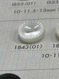 1843 Zweilochknopf Mit Polyesterharzrand[Taste] Sub-Foto