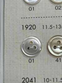 1920 DAIYA KNÖPFE 3 Tsu-Loch-Shell-Polyesterknopf[Taste] DAIYA BUTTON(DAIYA BUTTON) Sub-Foto