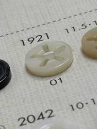 1921 DAIYA KNÖPFE 5 Tsu-Loch-Shell-Polyesterknopf[Taste] DAIYA BUTTON(DAIYA BUTTON) Sub-Foto