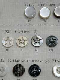 1921 DAIYA KNÖPFE 5 Tsu-Loch-Shell-Polyesterknopf[Taste] DAIYA BUTTON(DAIYA BUTTON) Sub-Foto