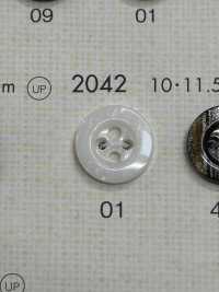 2042 DAIYA KNÖPFE Muschelfarbener Polyesterknopf[Taste] DAIYA BUTTON(DAIYA BUTTON) Sub-Foto
