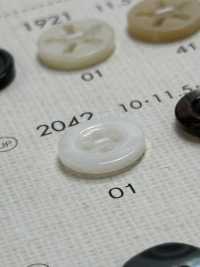 2042 DAIYA KNÖPFE Muschelfarbener Polyesterknopf[Taste] DAIYA BUTTON(DAIYA BUTTON) Sub-Foto
