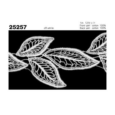 25257 Chemische Spitze