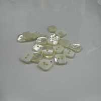 493 Randloser Muschelknopf Mit 2 Löchern[Taste] Tomoi Sub-Foto