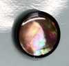 6660 Brauner Muschelknopf mit Rand