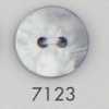 7123 Zweilochknopf aus Polyesterharz