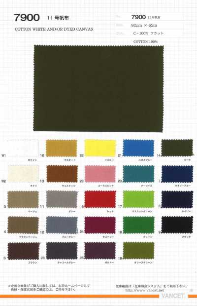 7900 Canvas Nr. 11
