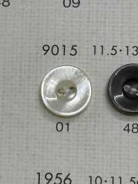 9015 DAIYA KNÖPFE Muschelfarbener Polyesterknopf[Taste] DAIYA BUTTON(DAIYA BUTTON) Sub-Foto