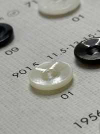 9015 DAIYA KNÖPFE Muschelfarbener Polyesterknopf[Taste] DAIYA BUTTON(DAIYA BUTTON) Sub-Foto