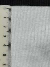 C3500 Rippstrick 30 Baumwolle Tereko Breite 55W[Rippenstrick] Sub-Foto