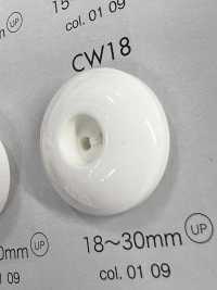 CW18 2-Loch-Knopf Aus Polyesterharz[Taste] DAIYA BUTTON(DAIYA BUTTON) Sub-Foto