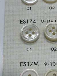 ES174 DAIYA KNÖPFE Muschelfarbener Polyesterknopf[Taste] DAIYA BUTTON(DAIYA BUTTON) Sub-Foto