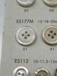 ES177M DAIYA BUTTONS Matter Polyesterknopf In Shell-Ton[Taste] DAIYA BUTTON Sub-Foto