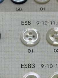 ES8 DAIYA KNÖPFE Muschelfarbener Polyesterknopf[Taste] DAIYA BUTTON(DAIYA BUTTON) Sub-Foto