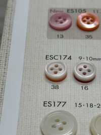 ESC174 DAIYA BUTTONS Bunter Muschelfarbener Polyesterknopf[Taste] DAIYA BUTTON Sub-Foto