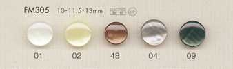 FM305 DAIYA BUTTONS Muschel-Polyesterknöpfe
