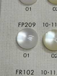 FP209 DAIYA KNÖPFE Muschelfarbener Polyesterknopf[Taste] DAIYA BUTTON(DAIYA BUTTON) Sub-Foto