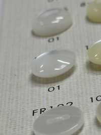 FP209 DAIYA KNÖPFE Muschelfarbener Polyesterknopf[Taste] DAIYA BUTTON(DAIYA BUTTON) Sub-Foto