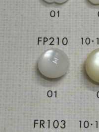 FP210 DAIYA BUTTONS Muschelfarbener Polyesterknopf (Halbkugel)[Taste] DAIYA BUTTON(DAIYA BUTTON) Sub-Foto