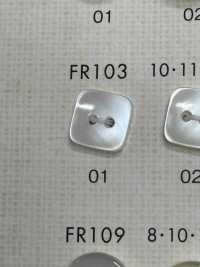 FR103 DAIYA BUTTONS Muschelfarbener Polyesterknopf (Quadrat)[Taste] DAIYA BUTTON(DAIYA BUTTON) Sub-Foto