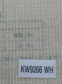 KW9266 NOWVEN® Double Dot-Serie Mit Gewindetyp[Einlage] NOWVEN Sub-Foto