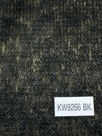 KW9266 NOWVEN® Double Dot-Serie Mit Gewindetyp[Einlage] NOWVEN Sub-Foto