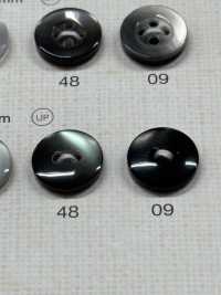 NRS110 DAIYA KNÖPFE Muschelfarbener Polyesterknopf[Taste] DAIYA BUTTON(DAIYA BUTTON) Sub-Foto