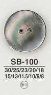 SB100 Muschelknopf