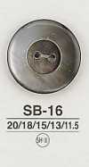 SB16 Muschelknopf