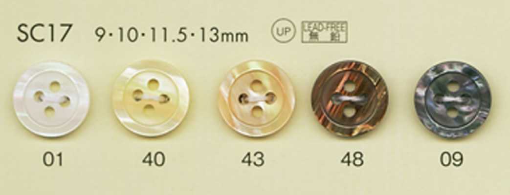 SC17 DAIYA BUTTONS Stoßfeste HYPER DURABLE-Serie Polyesterknopf in Muscheloptik