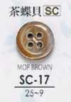 SC17 Muschelknopf - Perlmuttmuschel -
