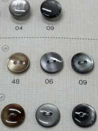 SC301 DAIYA KNÖPFE Muschelfarbener Polyesterknopf[Taste] DAIYA BUTTON(DAIYA BUTTON) Sub-Foto