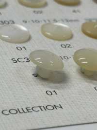 SC305 DAIYA KNÖPFE Muschelfarbener Polyesterknopf[Taste] DAIYA BUTTON(DAIYA BUTTON) Sub-Foto