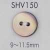 SHV150 2-Loch-Muschelknopf