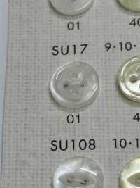SU17 DAIYA KNÖPFE Muschelfarbener Polyesterknopf[Taste] DAIYA BUTTON(DAIYA BUTTON) Sub-Foto