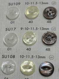 SU17 DAIYA KNÖPFE Muschelfarbener Polyesterknopf[Taste] DAIYA BUTTON(DAIYA BUTTON) Sub-Foto