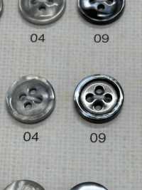 SU17 DAIYA KNÖPFE Muschelfarbener Polyesterknopf[Taste] DAIYA BUTTON(DAIYA BUTTON) Sub-Foto