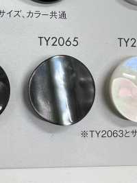 TY2065 Knöpfe Aus Polyesterharz[Taste] DAIYA BUTTON(DAIYA BUTTON) Sub-Foto