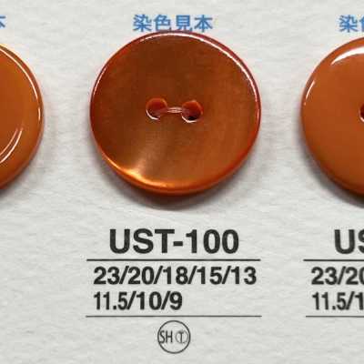 USB100 Gefärbter natürlicher schwarzer Perlmuttknopf, 2 Frontlöcher, glänzend