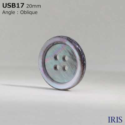 USB17 Natürlich Gefärbtes Material, Perlmuttmuschel, 4 Löcher Auf Der Vorderseite, Glänzende Knöpfe[Taste] IRIS Sub-Foto