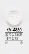 KV4880 Hemdenknöpfe färben