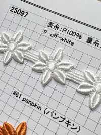 25097 Chemische Spitze Mit Schmaler Breite Kyowa Lace Sub-Foto
